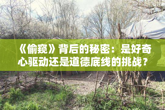 《偷窥》背后的秘密：是好奇心驱动还是道德底线的挑战？