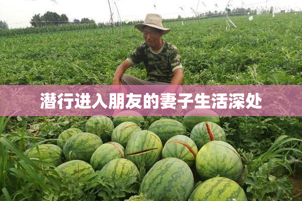 潜行进入朋友的妻子生活深处