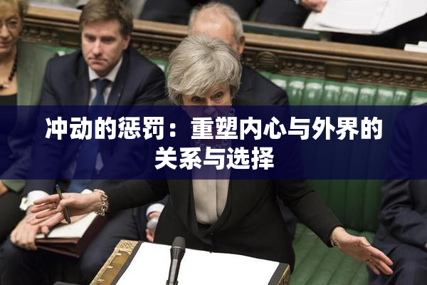 冲动的惩罚：重塑内心与外界的关系与选择