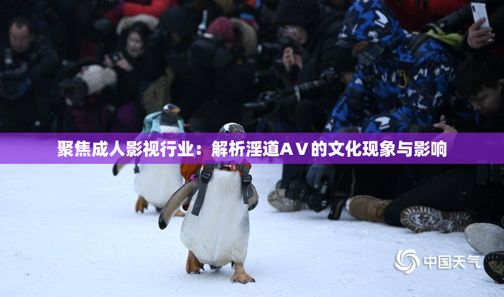 聚焦成人影视行业：解析淫道AⅤ的文化现象与影响