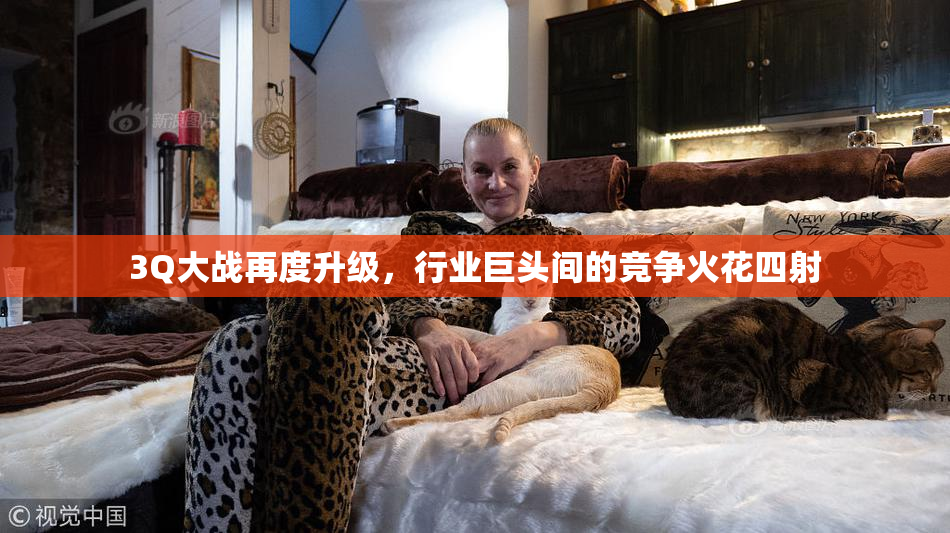 3Q大战再度升级，行业巨头间的竞争火花四射