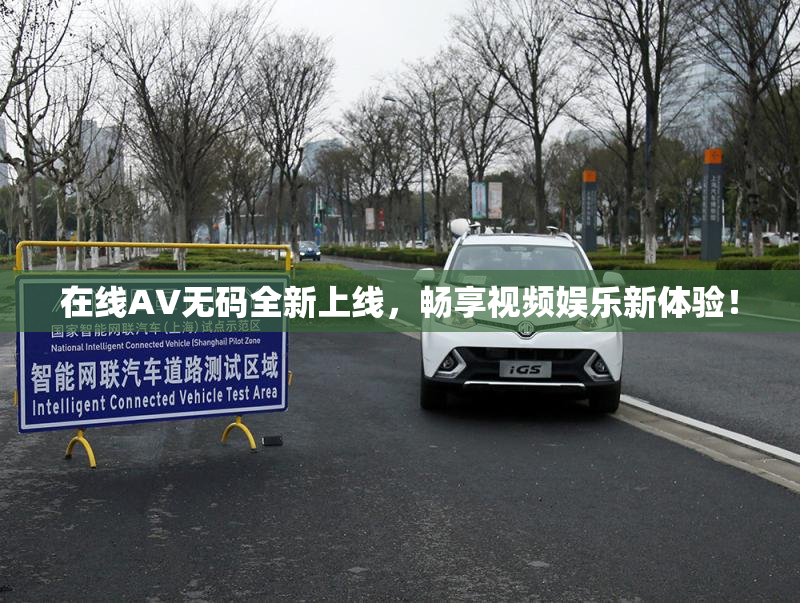 在线AV无码全新上线，畅享视频娱乐新体验！