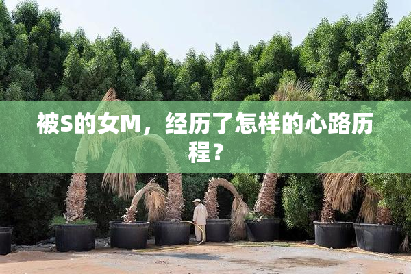 被S的女M，经历了怎样的心路历程？