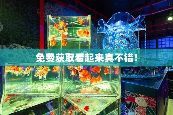 免费获取看起来真不错！