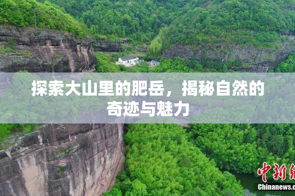 探索大山里的肥岳，揭秘自然的奇迹与魅力