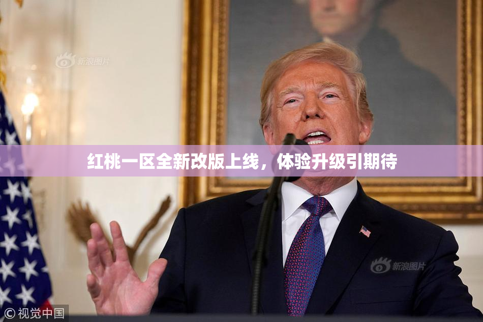 红桃一区全新改版上线，体验升级引期待