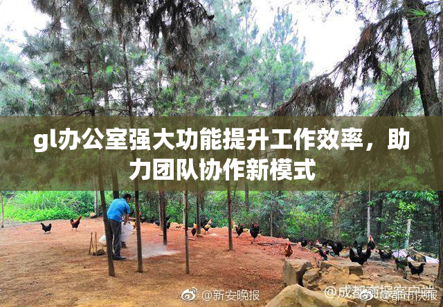 gl办公室强大功能提升工作效率，助力团队协作新模式