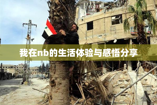 我在nb的生活体验与感悟分享