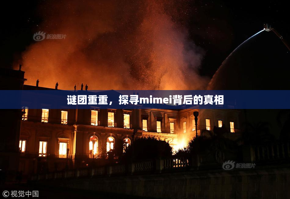 谜团重重，探寻mimei背后的真相