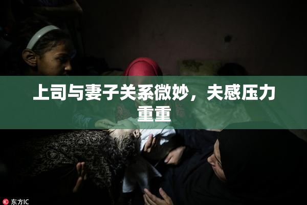 上司与妻子关系微妙，夫感压力重重