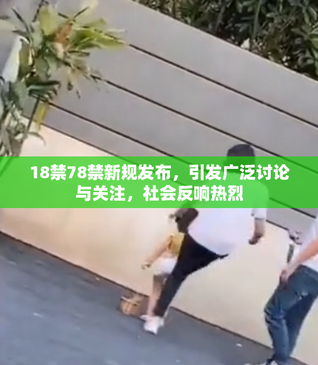 18禁78禁新规发布，引发广泛讨论与关注，社会反响热烈