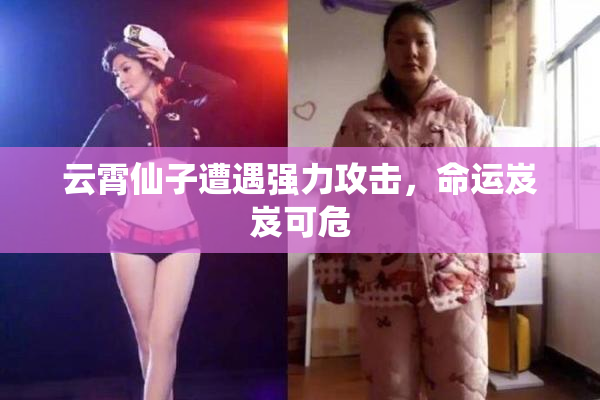 云霄仙子遭遇强力攻击，命运岌岌可危