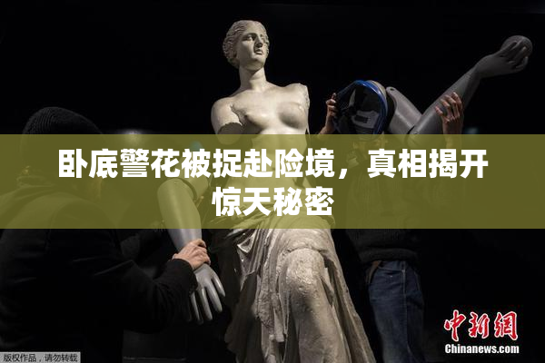 卧底警花被捉赴险境，真相揭开惊天秘密