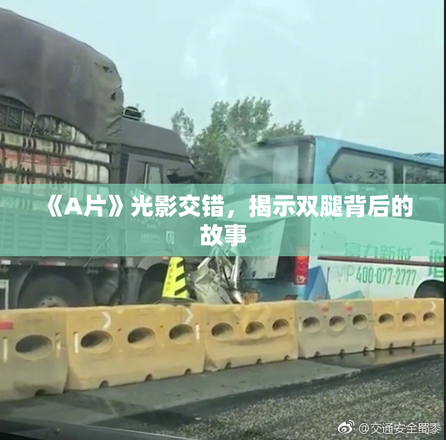 《A片》光影交错，揭示双腿背后的故事