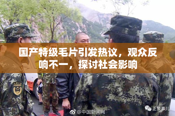 国产特级毛片引发热议，观众反响不一，探讨社会影响