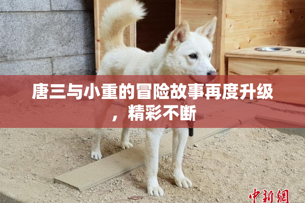唐三与小重的冒险故事再度升级，精彩不断