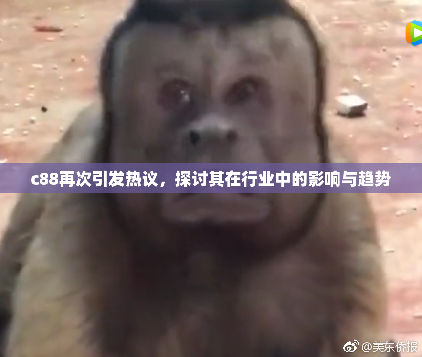 c88再次引发热议，探讨其在行业中的影响与趋势