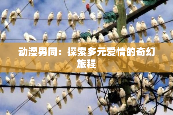 动漫男同：探索多元爱情的奇幻旅程