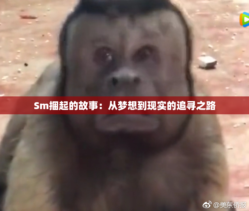Sm捆起的故事：从梦想到现实的追寻之路