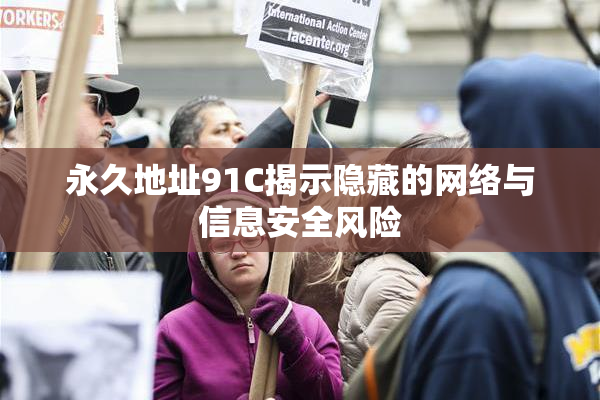 永久地址91C揭示隐藏的网络与信息安全风险