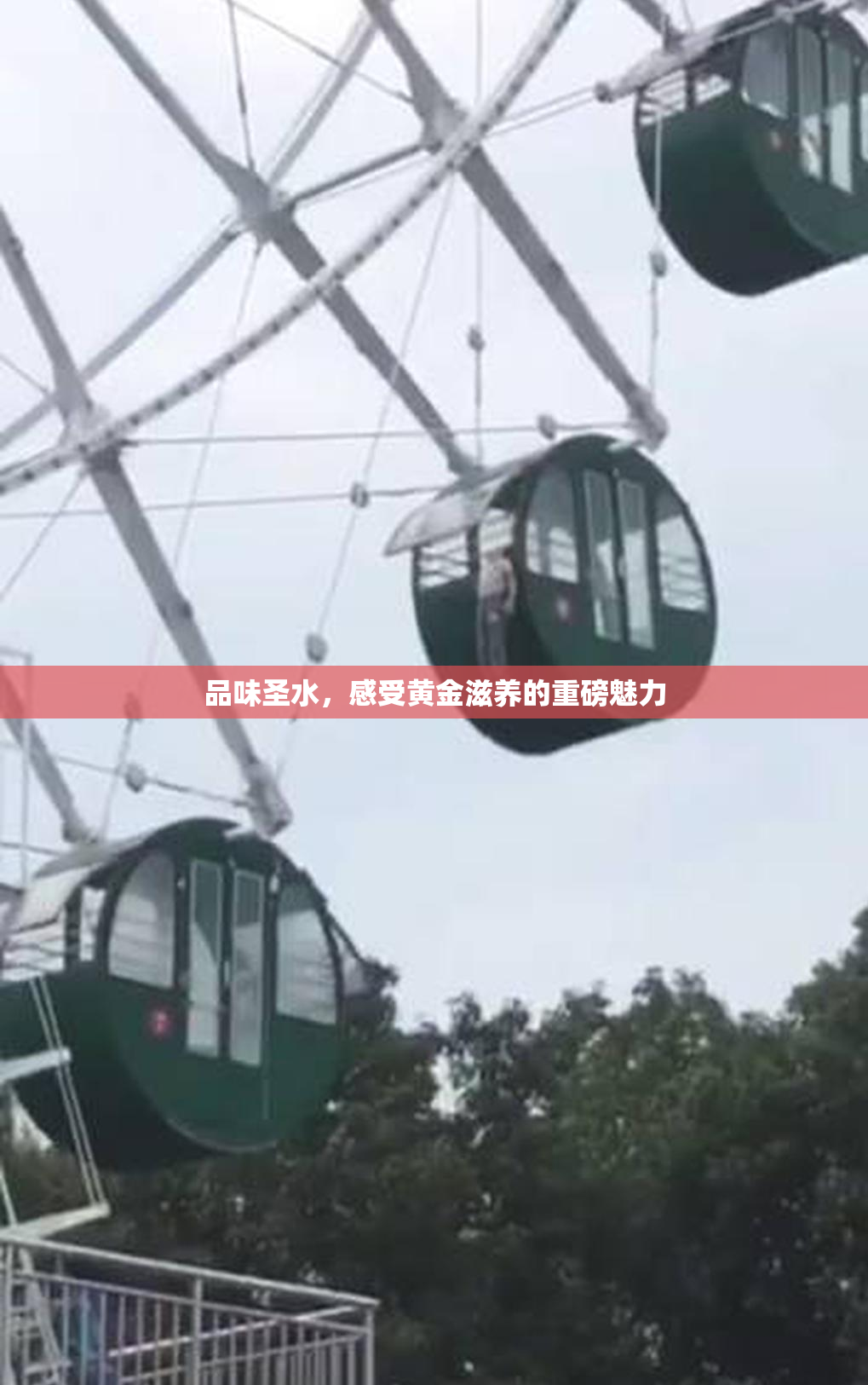 品味圣水，感受黄金滋养的重磅魅力
