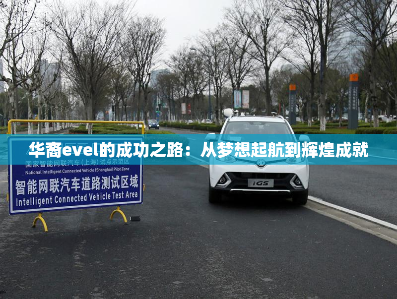 华裔evel的成功之路：从梦想起航到辉煌成就