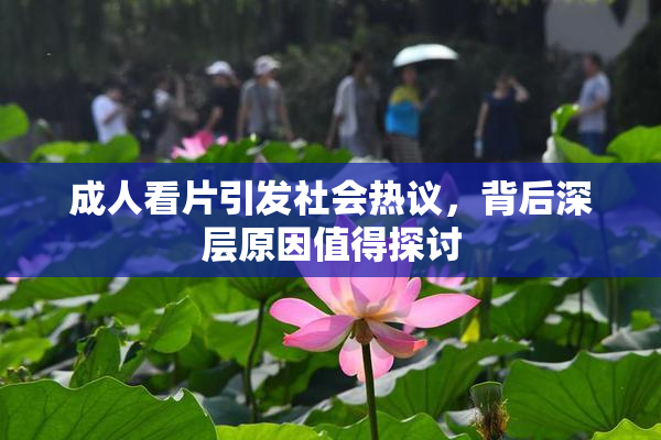 成人看片引发社会热议，背后深层原因值得探讨
