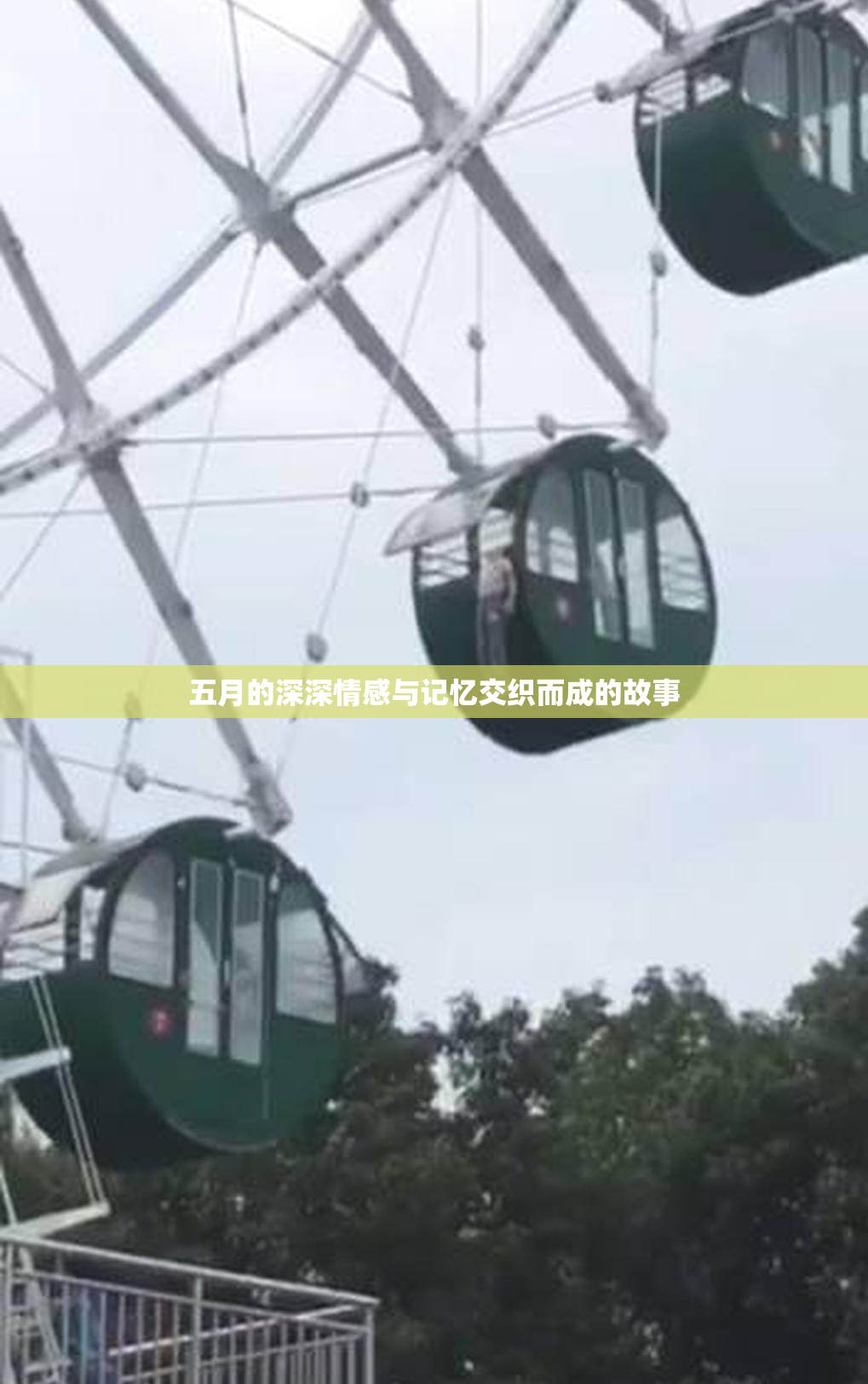 五月的深深情感与记忆交织而成的故事