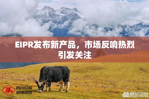 EIPR发布新产品，市场反响热烈引发关注