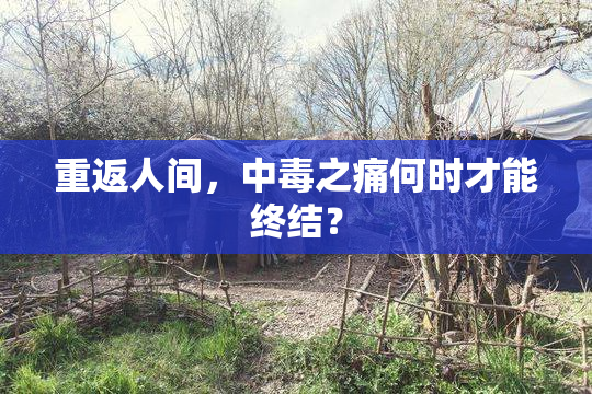 重返人间，中毒之痛何时才能终结？