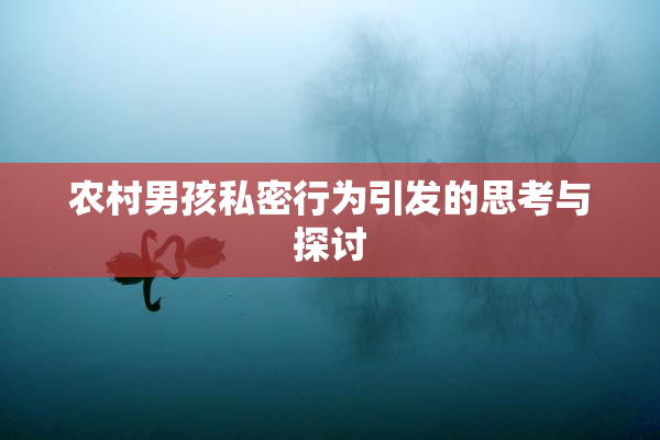 农村男孩私密行为引发的思考与探讨