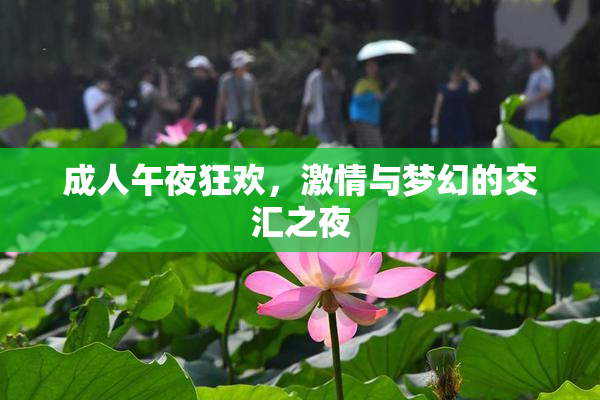 成人午夜狂欢，激情与梦幻的交汇之夜