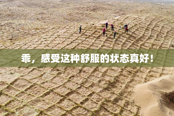 乖，感受这种舒服的状态真好！