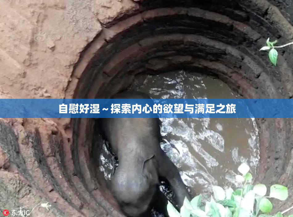 自慰好湿～探索内心的欲望与满足之旅