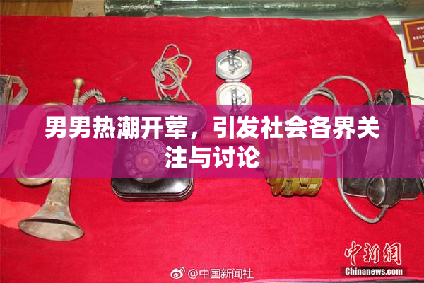 男男热潮开荤，引发社会各界关注与讨论