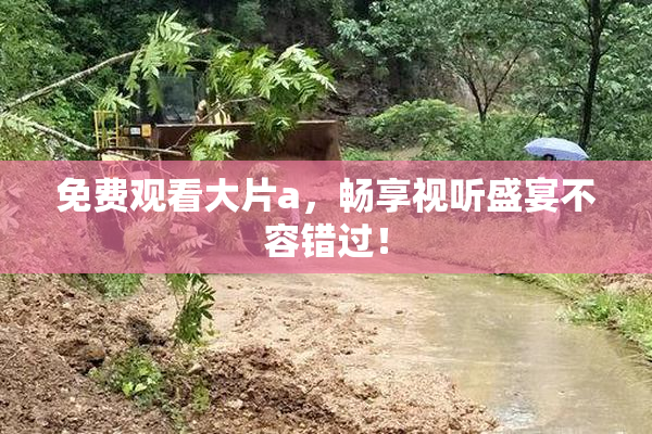免费观看大片a，畅享视听盛宴不容错过！