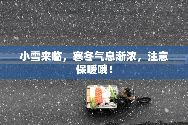 小雪来临，寒冬气息渐浓，注意保暖哦！