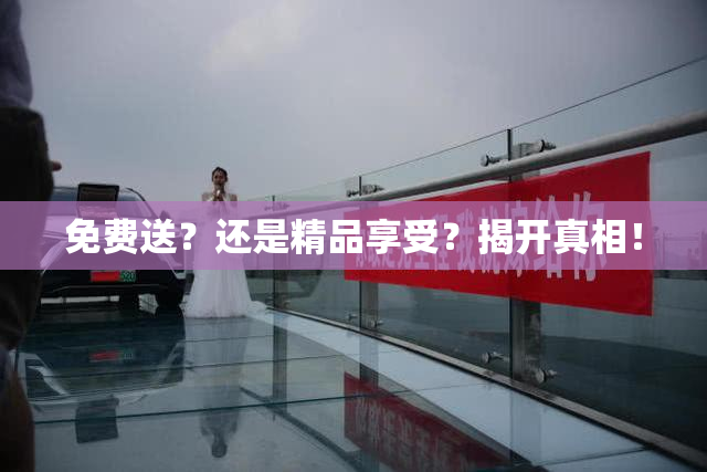 免费送？还是精品享受？揭开真相！