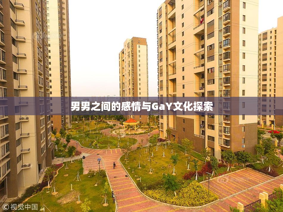 男男之间的感情与GaY文化探索