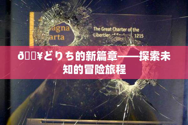 🔥どりち的新篇章——探索未知的冒险旅程