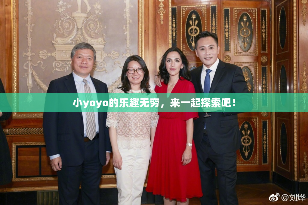 小yoyo的乐趣无穷，来一起探索吧！