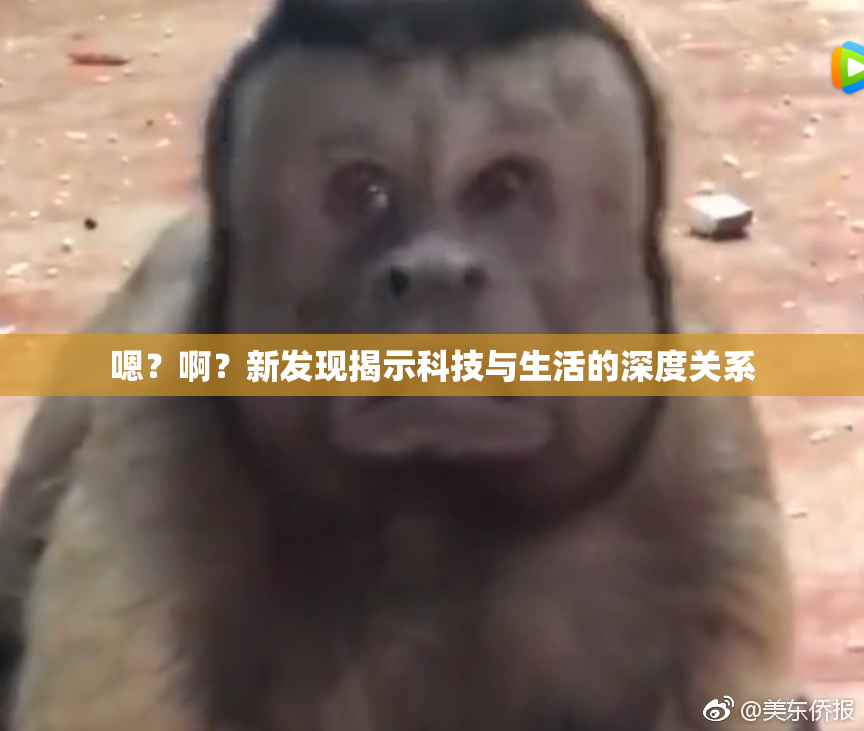 嗯？啊？新发现揭示科技与生活的深度关系