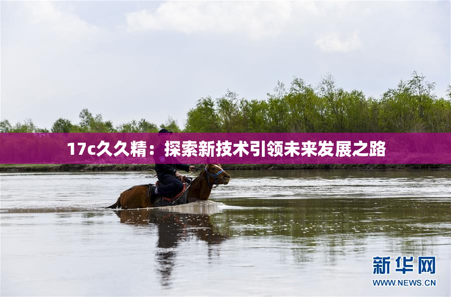 17c久久精：探索新技术引领未来发展之路