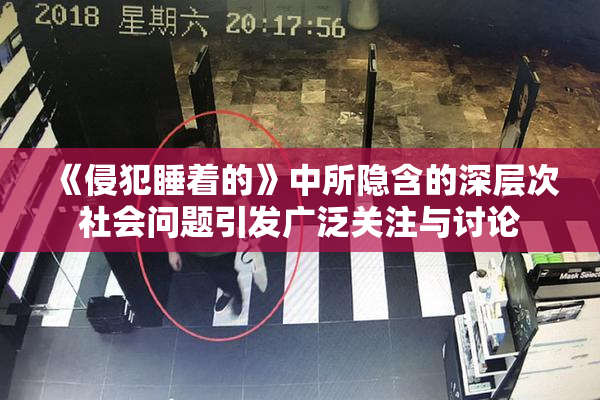 《侵犯睡着的》中所隐含的深层次社会问题引发广泛关注与讨论