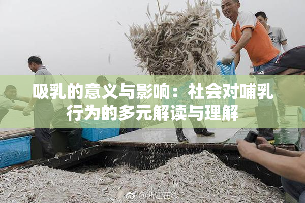 吸乳的意义与影响：社会对哺乳行为的多元解读与理解