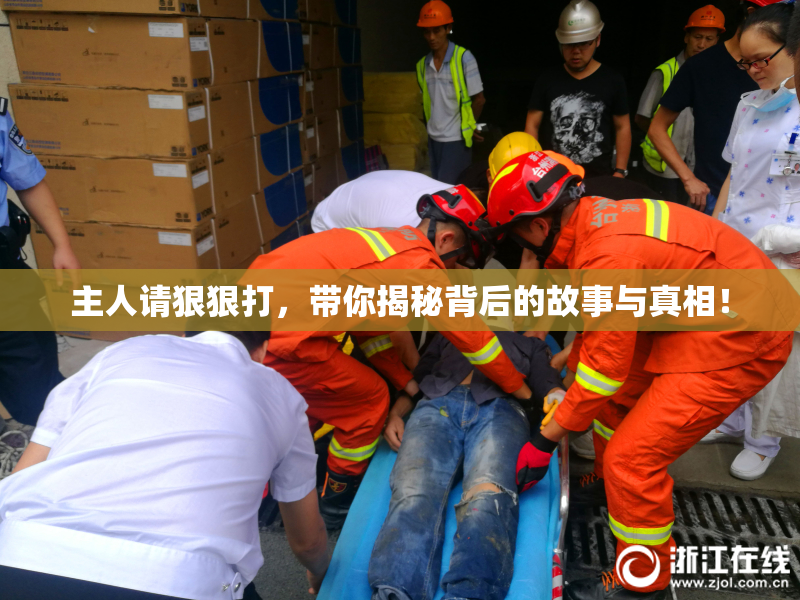 主人请狠狠打，带你揭秘背后的故事与真相！