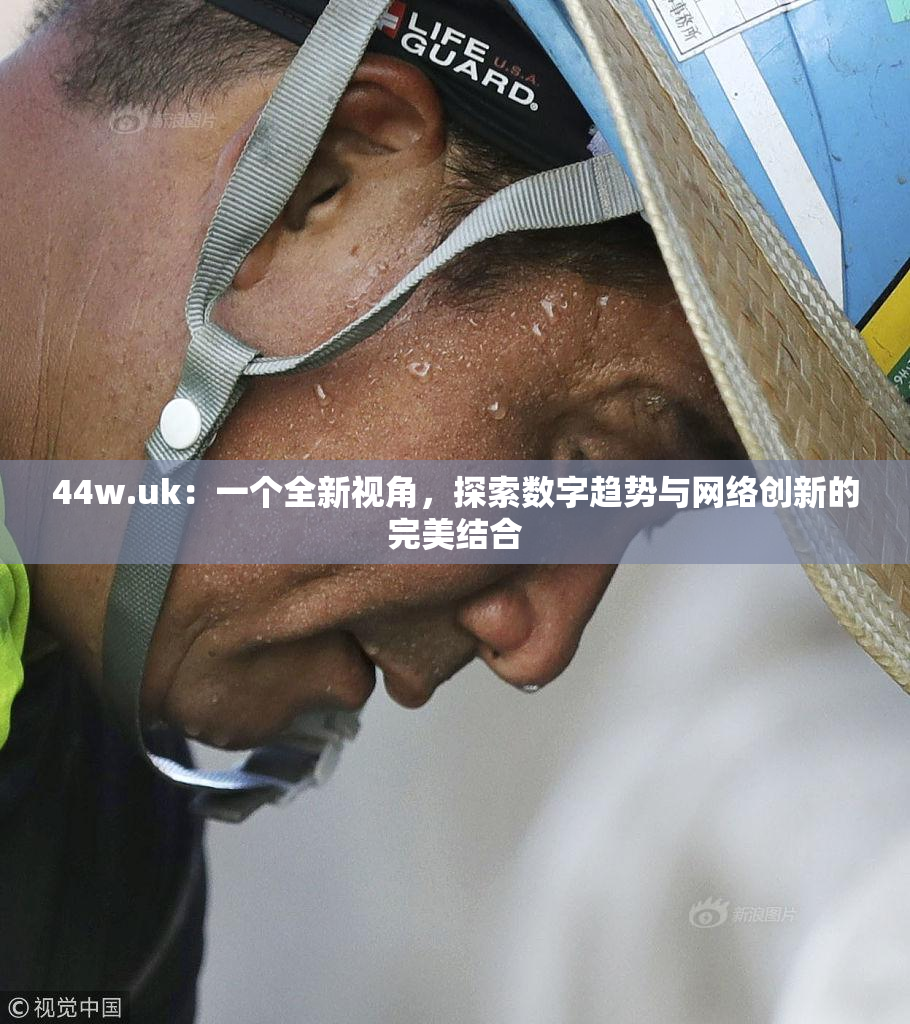 44w.uk：一个全新视角，探索数字趋势与网络创新的完美结合