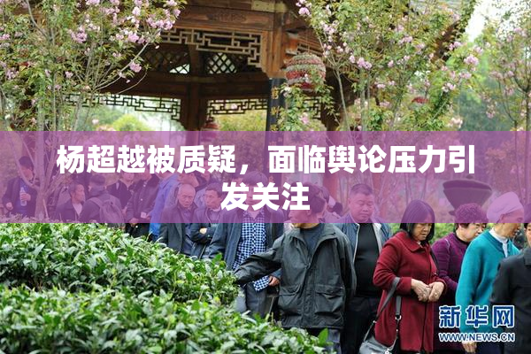 杨超越被质疑，面临舆论压力引发关注