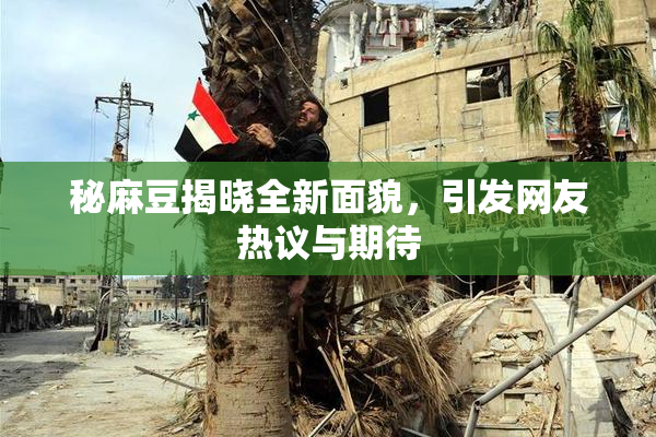 秘麻豆揭晓全新面貌，引发网友热议与期待