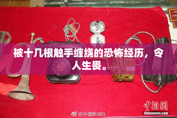 被十几根触手缠绕的恐怖经历，令人生畏。